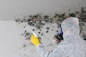 Best Mold Removal for HVAC Installations  in Woodville, WI